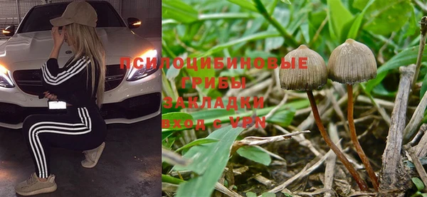 таблы Верея