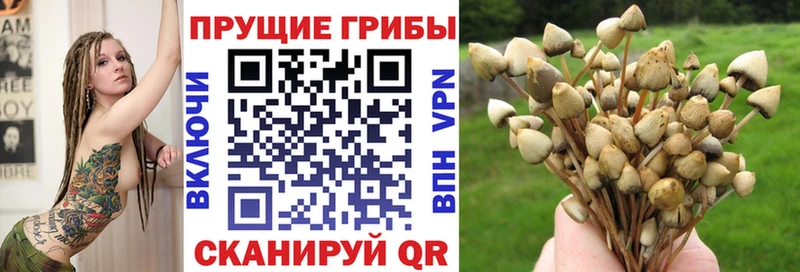 где можно купить наркотик  Клин  Галлюциногенные грибы MAGIC MUSHROOMS 