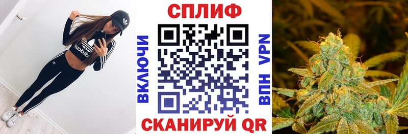Бошки Шишки MAZAR Клин